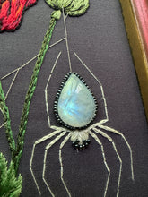Load image into Gallery viewer, Poppy and the Milk Spider