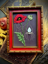 Load image into Gallery viewer, Poppy and the Milk Spider