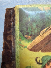 Load image into Gallery viewer, Celluloid Album Cover