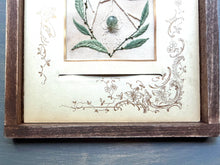 Load image into Gallery viewer, Spring Onlooker