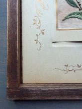 Load image into Gallery viewer, Spring Onlooker