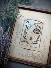 Load image into Gallery viewer, Spring Onlooker