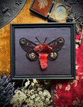 Load image into Gallery viewer, 14.  Goth Moth