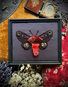14.  Goth Moth