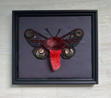 Load image into Gallery viewer, 14.  Goth Moth