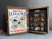 Load image into Gallery viewer, The Worlds Treasures-  Mini Hidden Curio Box