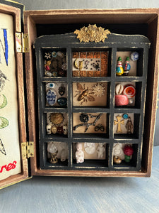The Worlds Treasures-  Mini Hidden Curio Box