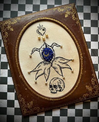 Celestial Fool