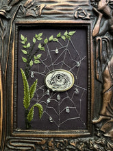 Load image into Gallery viewer, 23- Web