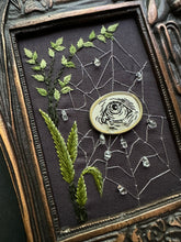 Load image into Gallery viewer, 23- Web