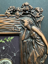 Load image into Gallery viewer, 23- Web