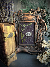 Load image into Gallery viewer, 23- Web