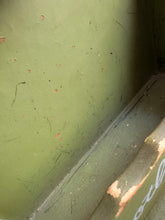 Load image into Gallery viewer, 20- Toad