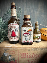 Load image into Gallery viewer, 19- Mushroom