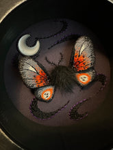 Load image into Gallery viewer, 30- Goth Moth