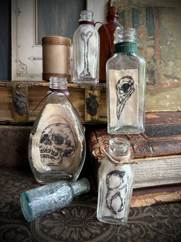 6. Bones
