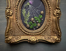 Load image into Gallery viewer, Patricks Garden