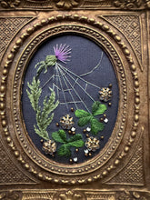 Load image into Gallery viewer, Patricks Garden