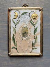 Load image into Gallery viewer, The Garden Spider