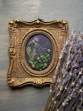 Load image into Gallery viewer, Patricks Garden