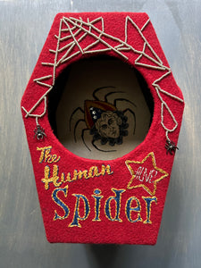 The Human Spider